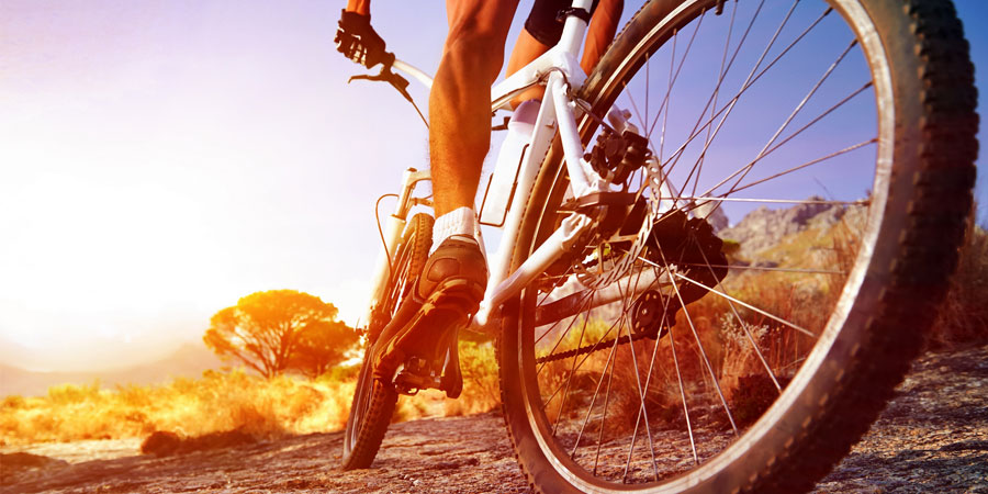 Bicycle industry