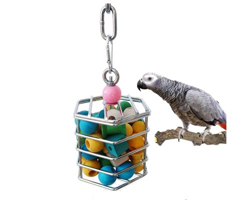 Why Parrot Metal Toys Are Becoming Popular Why Parrot Metal Toys Are Becoming Popular