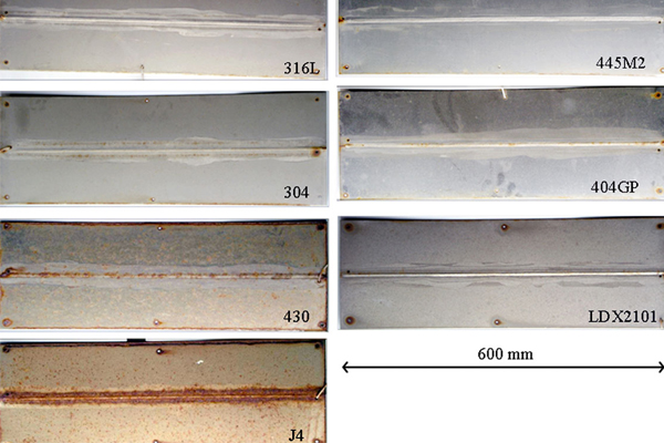 The factors influencing the corrosion resistance performance of stainless steel fasteners. The factors influencing the corrosion resistance performance of stainless steel fasteners.