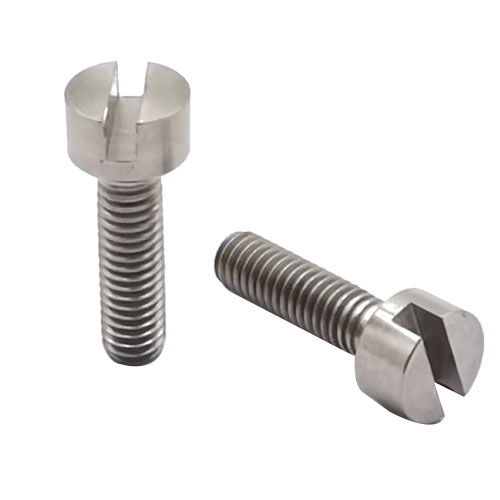DIN84 Slotted Titanium Screw