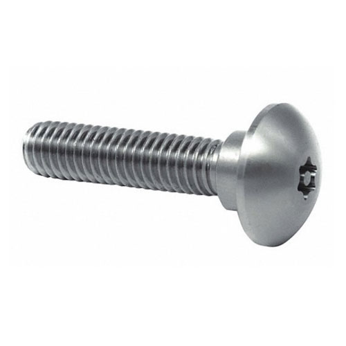 Stainless Steel Anti Theft Step Screw